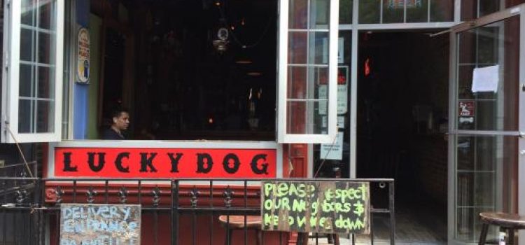 Luckydog – brooklyn